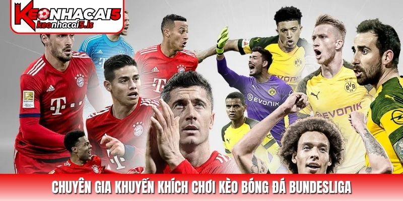 Chuyên gia khuyến khích chơi kèo bóng đá Bundesliga