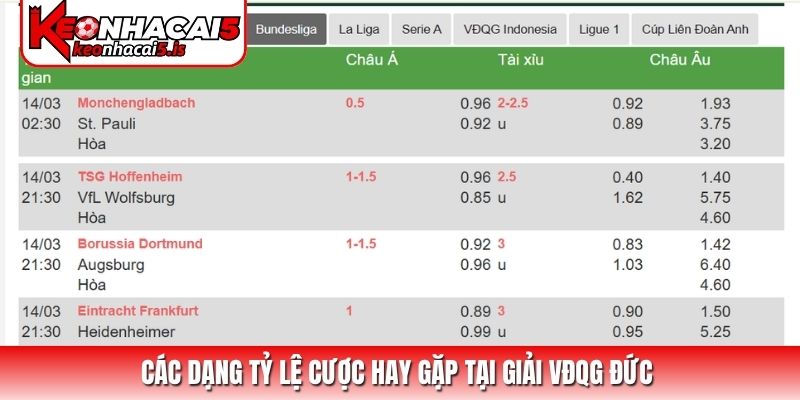 Các dạng tỷ lệ cược hay gặp tại giải VĐQG Đức
