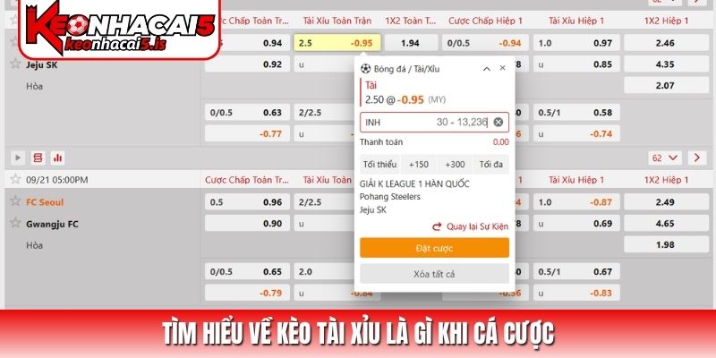 Tìm hiểu về kèo tài xỉu là gì khi cá cược