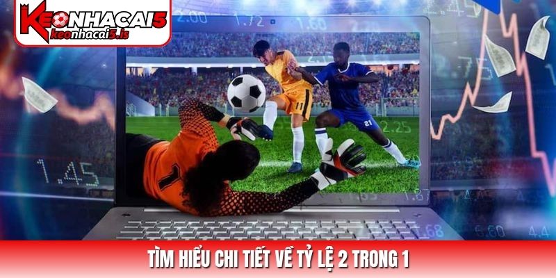 Tìm hiểu chi tiết về tỷ lệ 2 trong 1